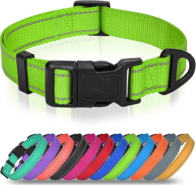 Joytale Dog Collar for Large Dogs, Strong Double-Sided Reflective Nylon Collar for Night Safety, Adjustable Quick-Release for Daily Walking, Green, L (1" Width)