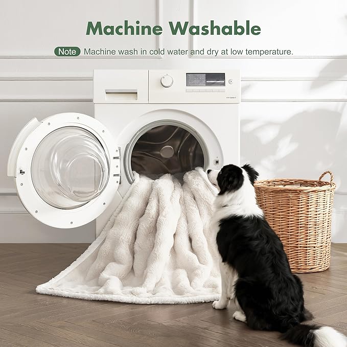 Soft Cozy Waterproof Dog Blanket for Large Dogs - Room Decor Pet Throw Blanket for Couch Bed Protector, Washable Dog Blankets for Indoors & Outdoors, Cream, 50"x60"
