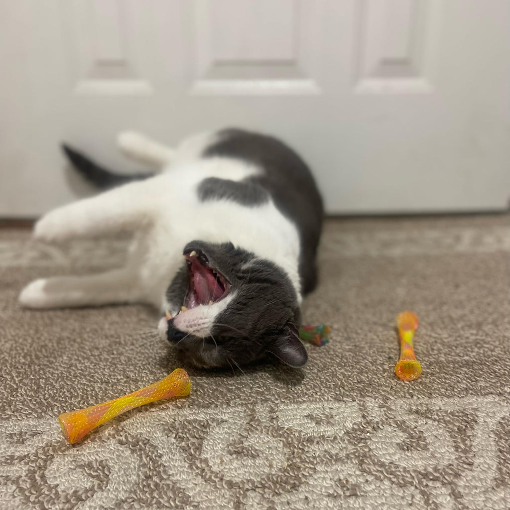 SPOT Kitty Fun Tubes Cat Toy with Catnip Inside | Bouncy Interactive Mesh Toy for Cats and Kittens to Bite, Swat and Chase | 3 Pieces