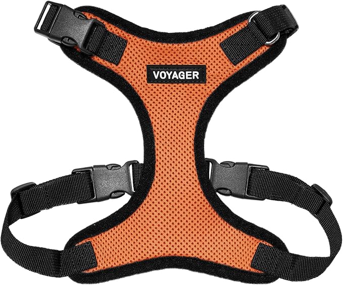 Voyager Step-in Pet Harness - All Weather Mesh, Adjustable Step in Harness for Cats and Dogs by Best Pet Supplies - Orange/Black Trim, XS