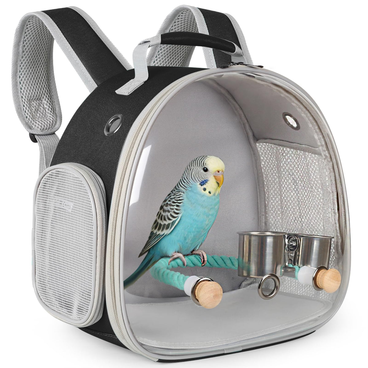 Small Bird Travel Backpack Carrier Cage, Backpack to Transport Backpack Carrier with Clamp Cups Stand Perch for Parakeet Cockatiel Budgies Vet Carry Book Bag Green