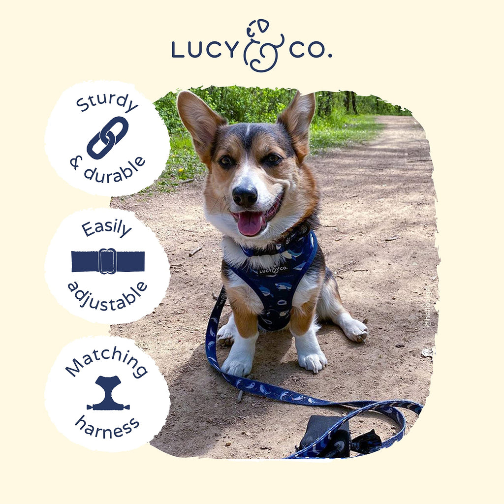 Lucy & Co. Shark Attack Dog Collar - Durable Lightweight Designer Collar for Pets - Adjustable Metal Safety Buckle - Navy White Shark - Small