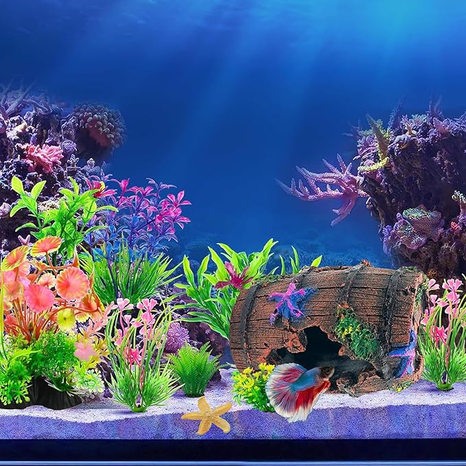 GOFYLIN Fish Tank Decoration for Aquarium Tank, Betta Fish Tank Accessories Starfish Barrel x 1pc, Aquarrium Decor Aquatic Plants x 4pcs, Aquarium Decor Starfish x 1pcs.