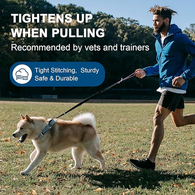 Martingale Dog Collar, Adjustable Nylon Reflective Collar with Quick Release Buckle (Gentian Blue, Large)
