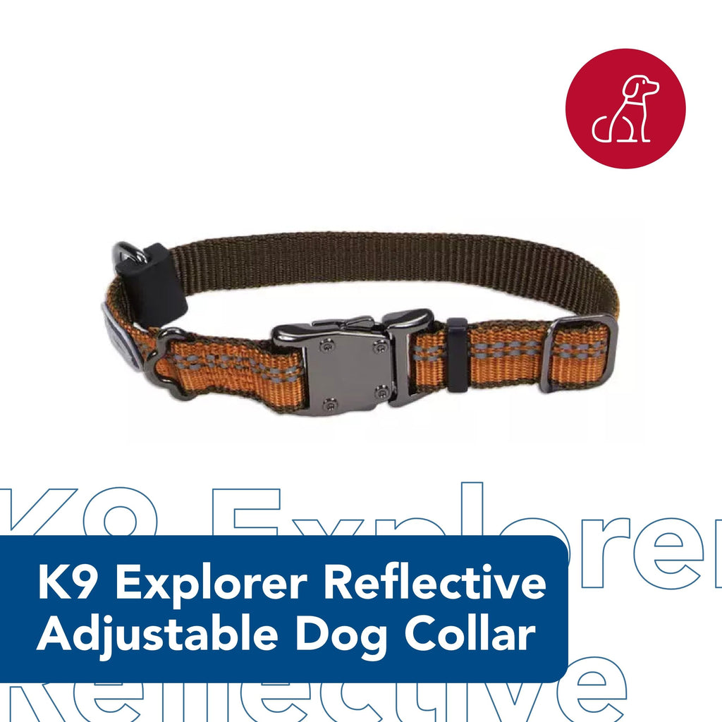 Coastal Pet K9 Explorer Reflective Adjustable Dog Collar - Comfortable Collar for the Outdoors - Durable, Lightweight Accessory with Side-Release Buckle - Campfire Orange, 1" x 18-26"