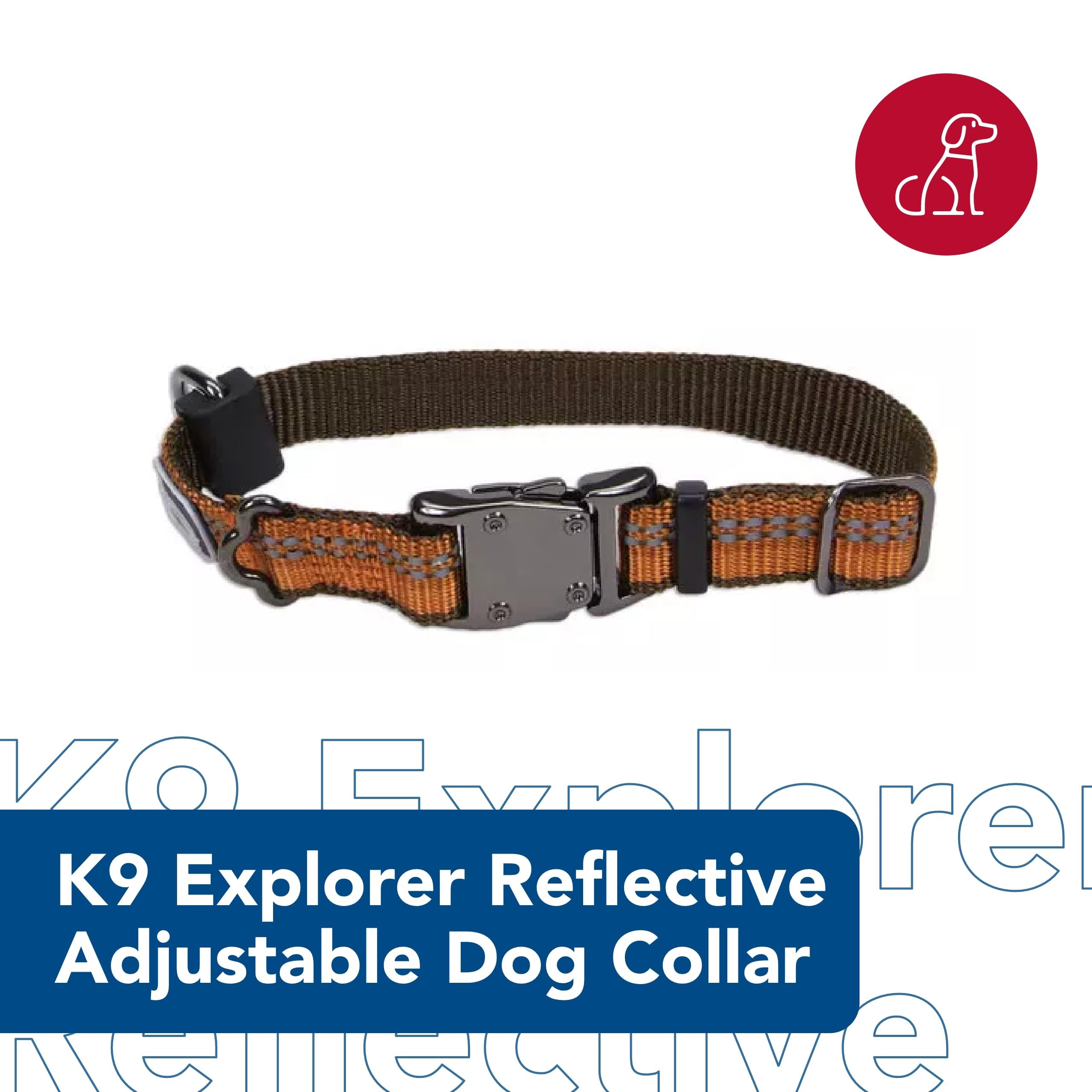 Coastal Pet K9 Explorer Reflective Adjustable Dog Collar - Comfortable Collar for the Outdoors - Durable, Lightweight Accessory with Side-Release Buckle - Campfire Orange, 1" x 18-26"