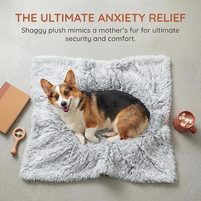 PJYuCien Dog Blankets for Small Dogs Washable - Fluffy Fuzzy Cat Blanket for Couch, Puppy Throw for Furniture with Polyester Fleece, Super Soft Plush for Pet Kitten Doggy, Grey, 16" x 24"