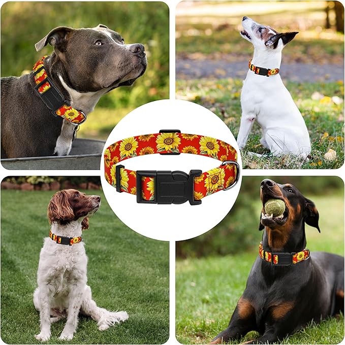 Sunflower Dog Collar, Floral Boys Girls Puppy Collar for Small Medium Large Dogs, Adjustable Soft Flower Pet Collar with Safety Buckle for Male Females(Red Sunflower, XS)