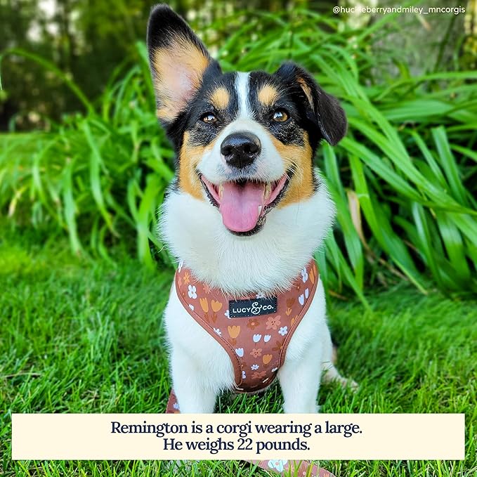 Lucy & Co. Reversible Dog Harness - Water-Repellent Neoprene, Dual-Print Design, Easy Swap Style, Adjustable Comfort Fit - Chocolate Meadows Reversible Harness - Medium
