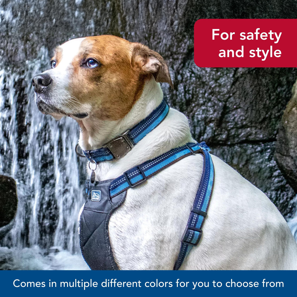 Coastal Pet K9 Explorer Reflective Adjustable Dog Collar - Comfortable Collar for the Outdoors - Durable, Lightweight Accessory with Side-Release Buckle - Campfire Orange, 1" x 12-18"