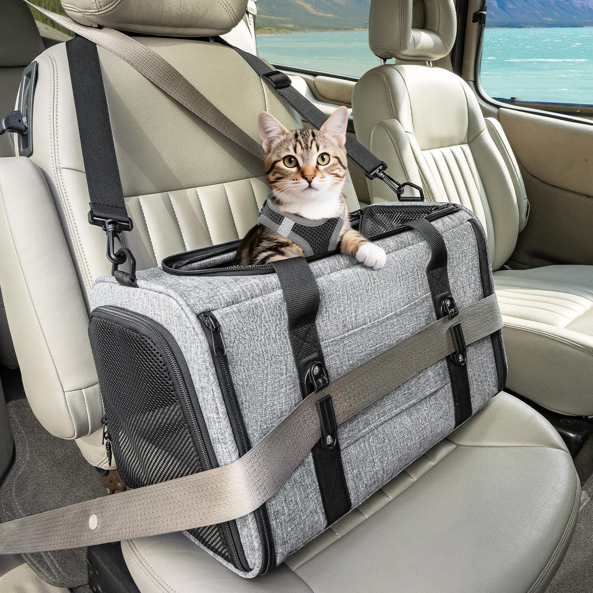 PETSFIT Large Cat Car Carrier,19 x 12 x 12