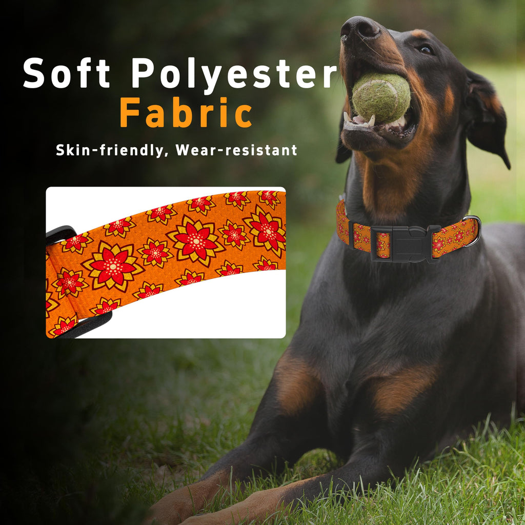 Seyezo Dog Collar, Classical Indian Spirit, Orange, S