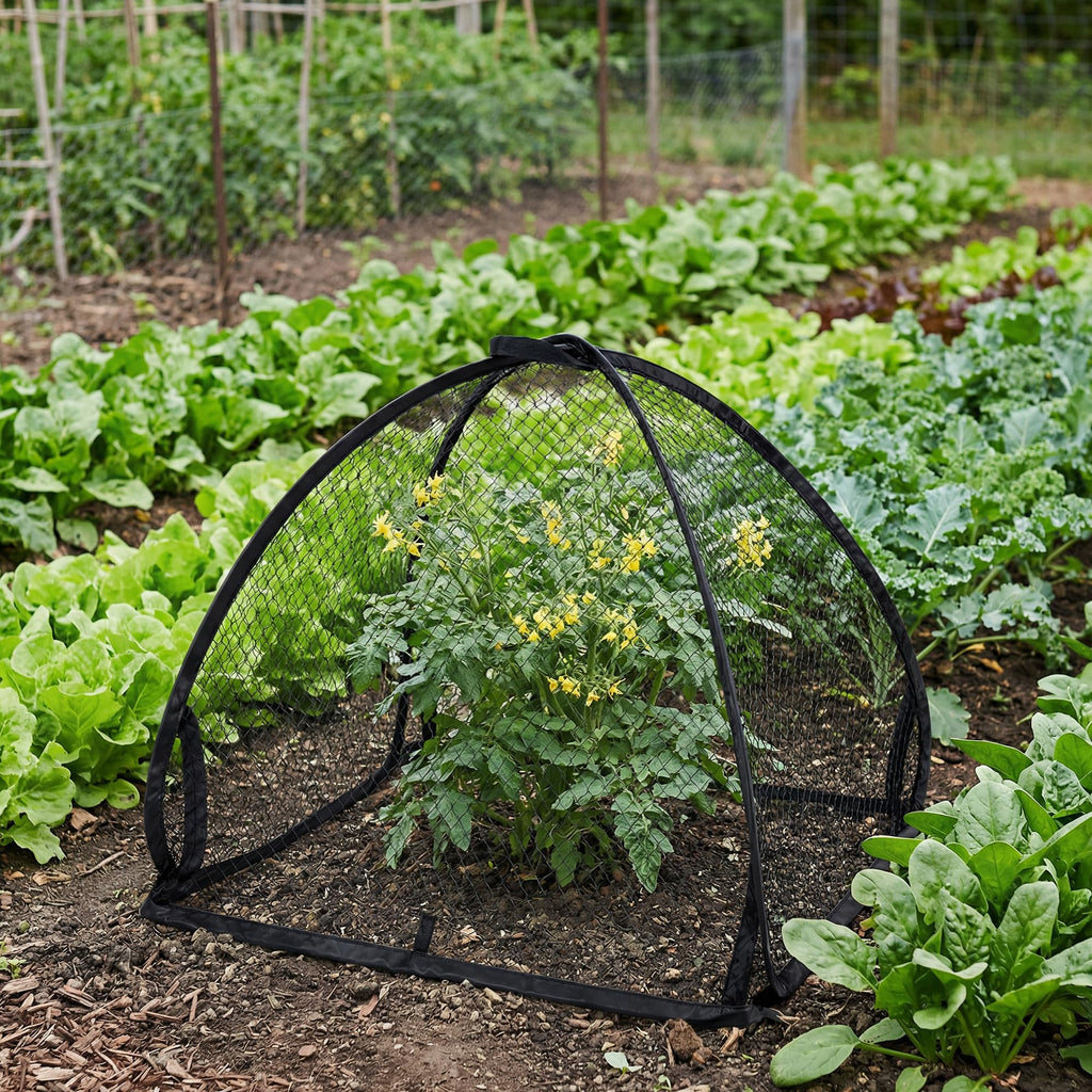 DECOHS 2 Pcs Pop-Up Mesh Plant Cover Tent, 22 x 22 x 22 Inch Garden Net Cage Guard Cover, Plant Protector Enclosure with 12 Ground Stakes for Protecting Plants Vegetable Fruit from Birds Insects