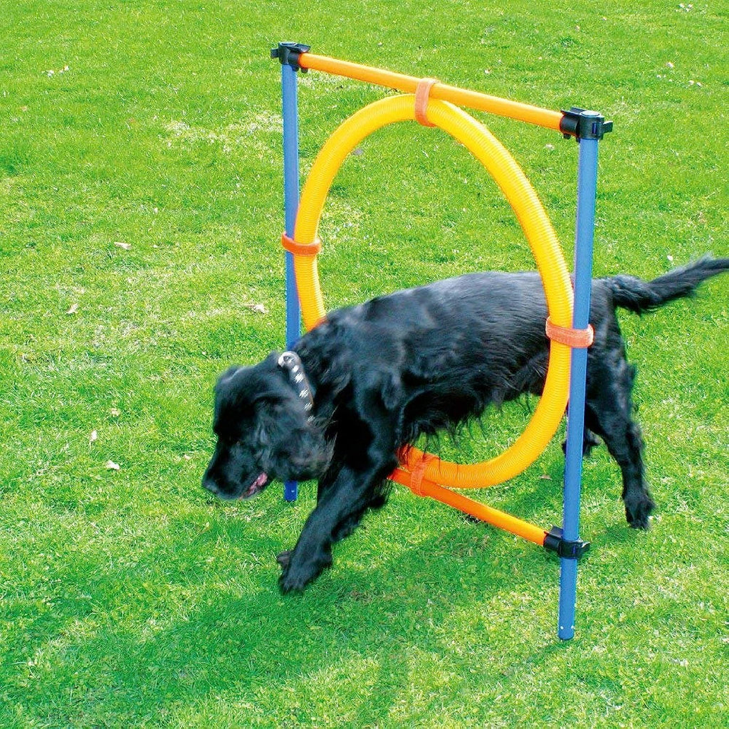 PAWISE Dog Agility Training Equipment,Puppy Agility Kit with Jump Ring, Adjustable Hurdles & Weave Poles,Outdoor Dog Obstacle Course for Backyard,Park Training, Portable Dogg Exercise Set