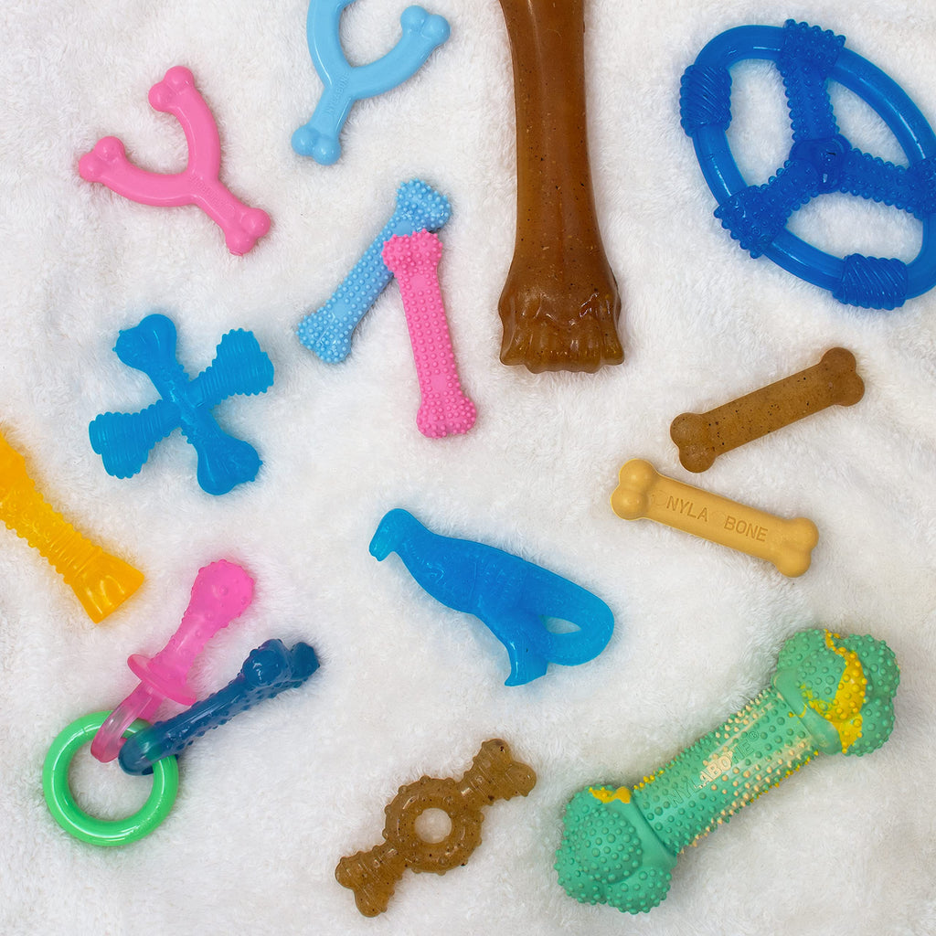Nylabone Puppy Chew Blue Textured Teething Dog Bone, X-Small