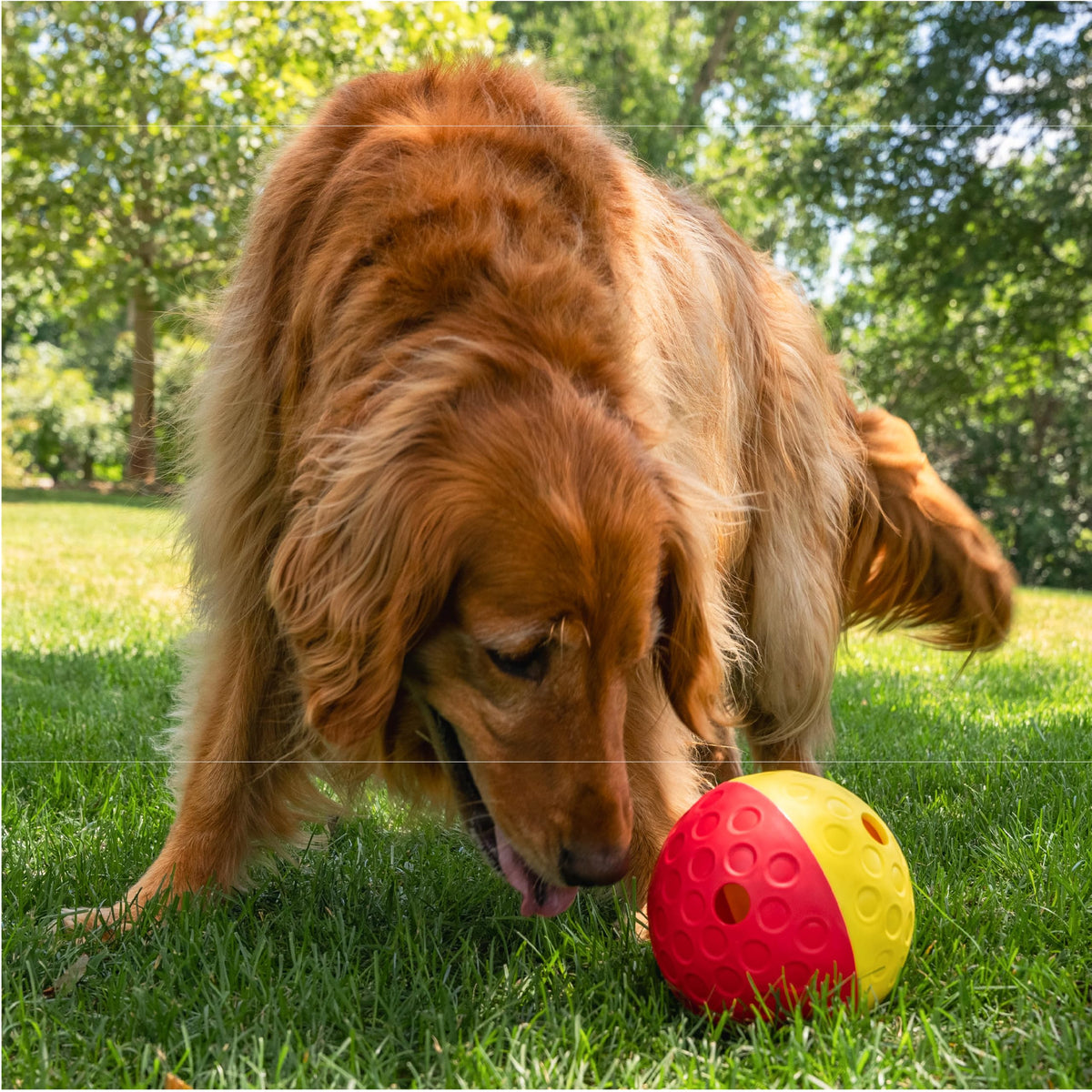 Outward Hound Nina Ottosson Treat Tumble Dog Toy Puzzle Ball, 5.8"