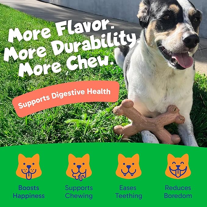 Chew’EMS X Bone Dog Chew Toy for Aggressive Chewers – Long-Lasting Chicken Flavor Nylon Bone – Durable, Rawhide-Free Dental Toy - Small Size – Made in USA
