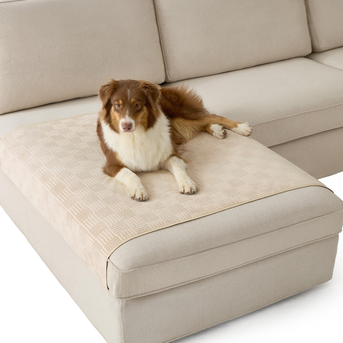Bedsure Waterproof Couch Cover for Sofa and Dogs Quick Drying, 30x70IN