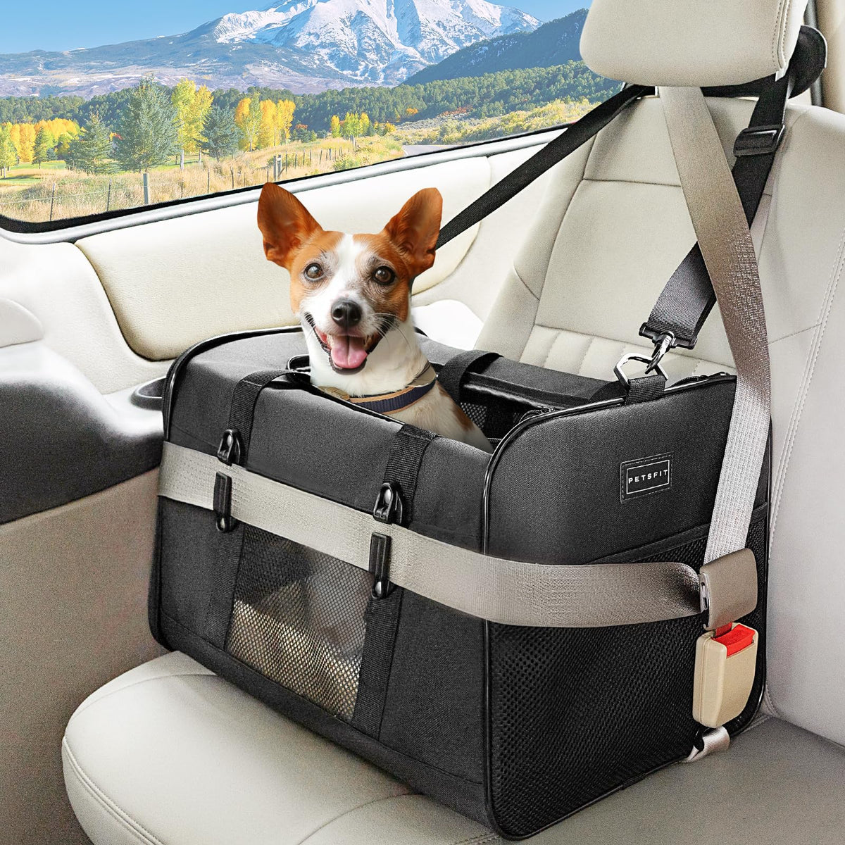 Petsfit Travel Pet Carrier for Large Cats (up to 20 lbs), Soft-Sided Dog Car Travel Carrier with Patented Buckle and Soft Padding, Ideal for Car Road Trips,19X12X12 Inch,Grey
