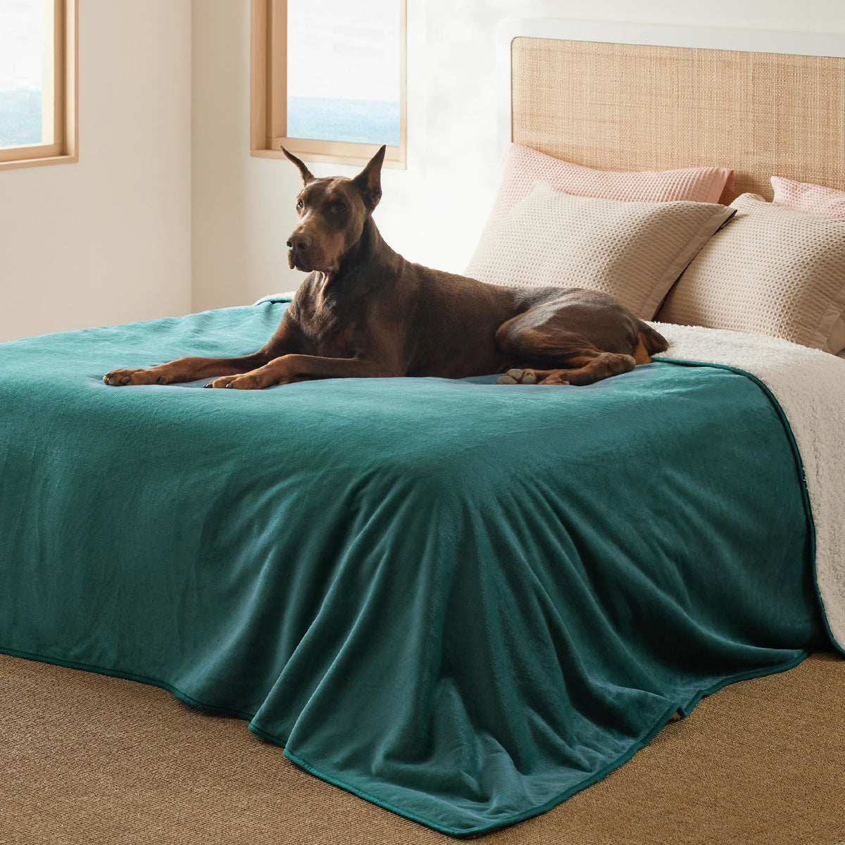 Bedsure Waterproof Blanket for Bed Soft Sherpa Fleece Throw,King 108"x86"