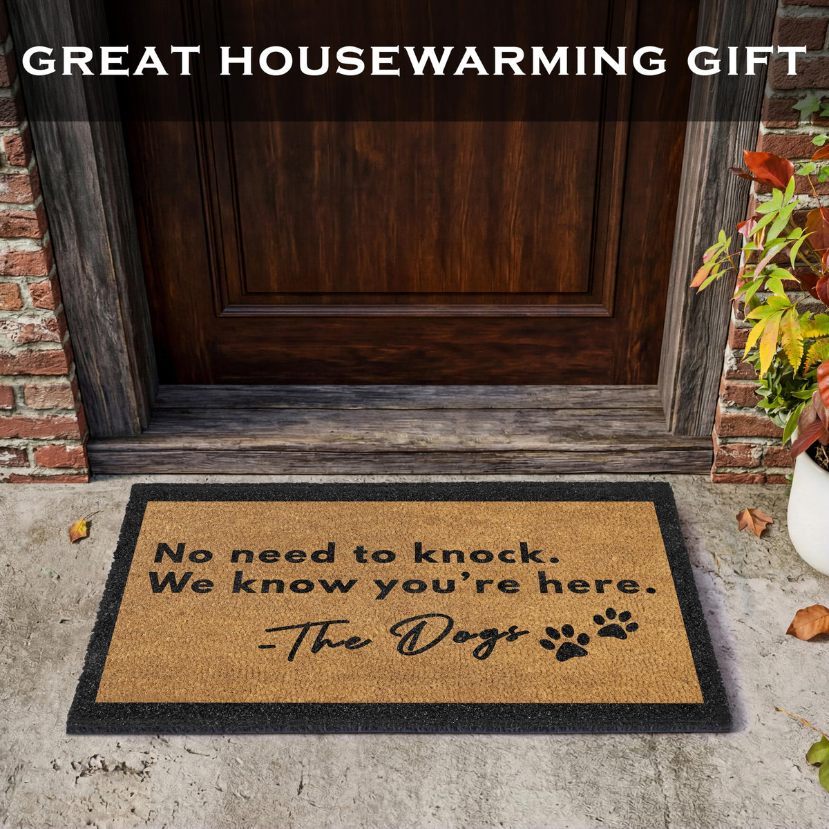 No Need to Knock We Know You're Here Doormat 30x17 Inch Dog Welcome Mat