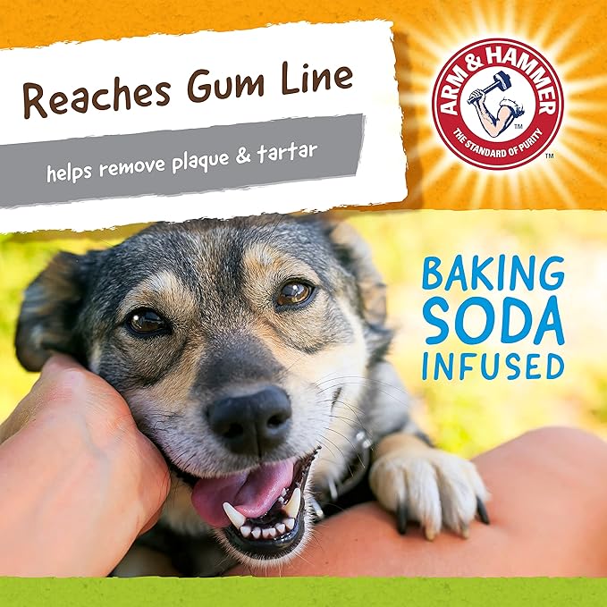 Arm & Hammer Nubbies Duality Bone, A Dental Chew Toy for Dogs - Nubby Pet Toy Cleans Teeth to Reduce Plaque & Tartar with Baking Soda, Green Apple Flavor Dog Bone for Moderate Chewers