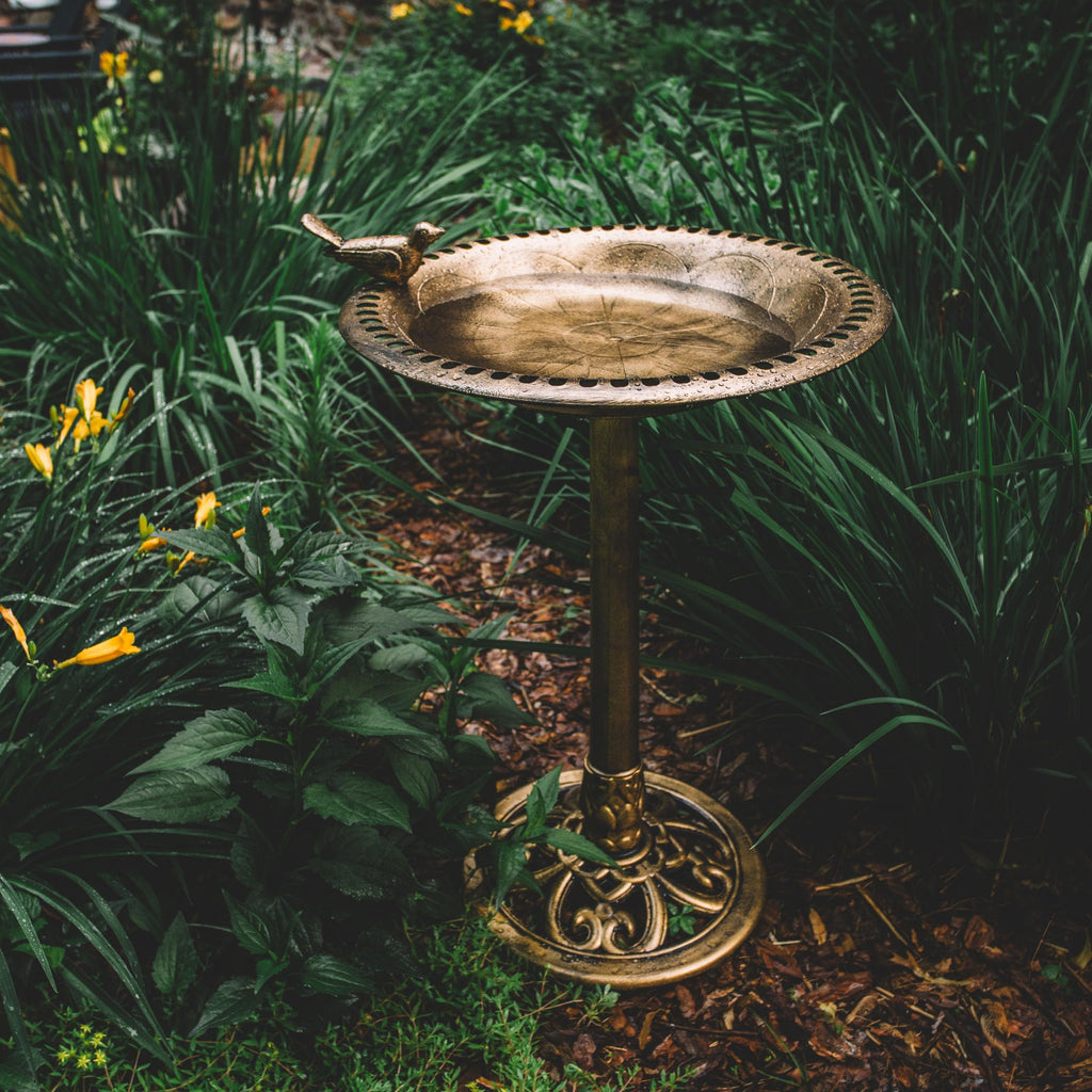 BACKYARD EXPRESSIONS PATIO · HOME · GARDEN 912449-WB Outdoor Garden Bird Bath- Bronze- Weather Resistant Polyresin-30 Inch-Backyard Expressions