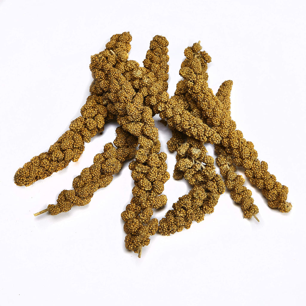 Kaytee Spray Millet Treat for Pet Birds, 7 oz