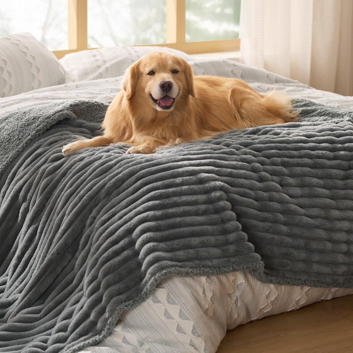Bedsure ComfyFleece® Waterproof Dog Blankets for Large Dogs,50x60