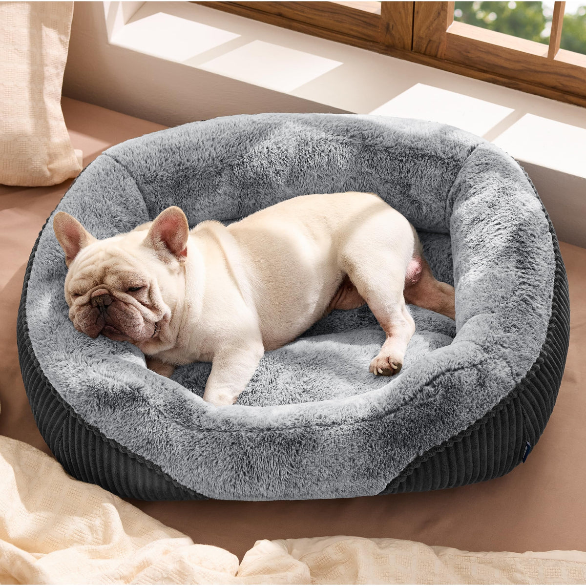 Bedsure Washable Dog Bed Small Medium Size Dog Rectangle Pet Bed,25x21x7in
