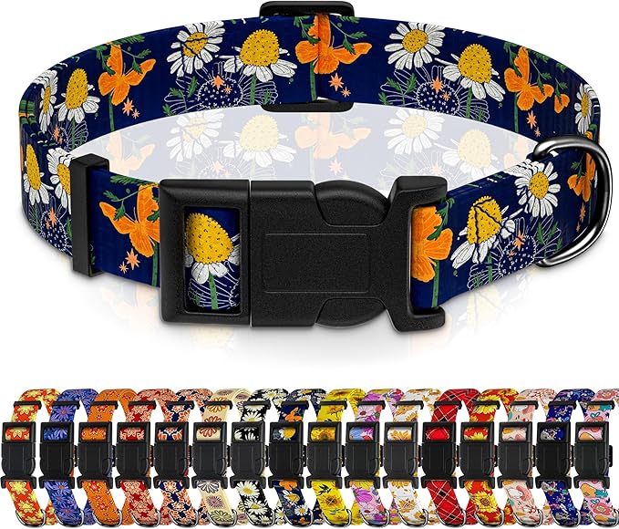 Seyezo Dog Collar with Butterflies Print, Daisy Boys Girls Puppy Collar for Small Medium Large Dogs, Adjustable Soft Floral Pet Collar with Safety Buckle for Male Females(Blue Butterfly,XS)