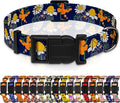 Seyezo Dog Collar with Butterflies Print, Daisy Boys Girls Puppy Collar for Small Medium Large Dogs, Adjustable Soft Floral Pet Collar with Safety Buckle for Male Females(Blue Butterfly,XS)