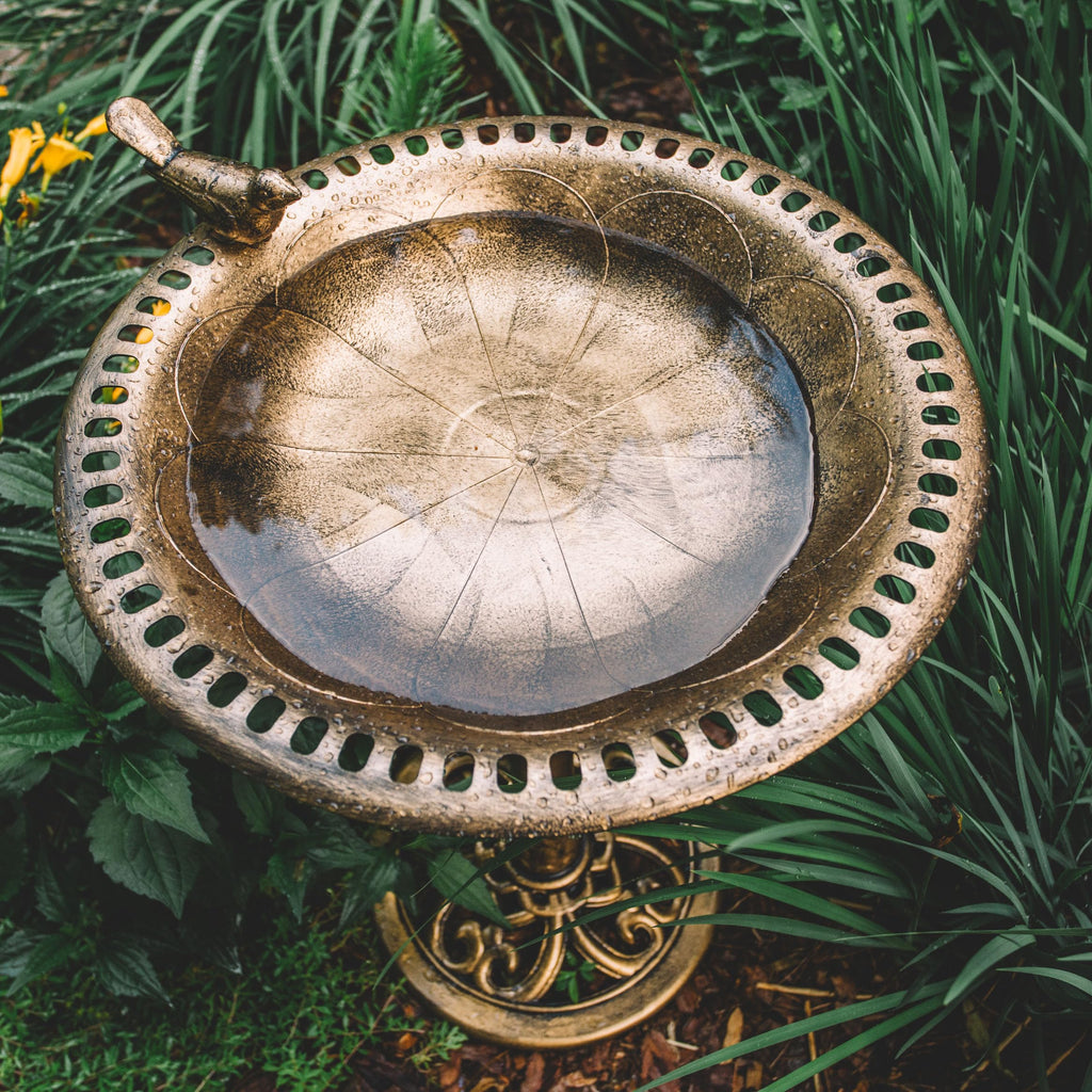 BACKYARD EXPRESSIONS PATIO · HOME · GARDEN 912449-WB Outdoor Garden Bird Bath- Bronze- Weather Resistant Polyresin-30 Inch-Backyard Expressions