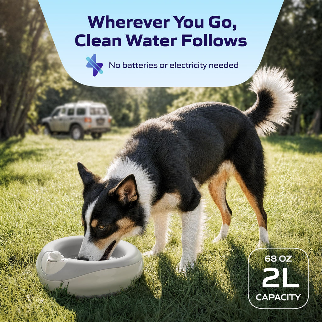 TORUS PET Maxi Filtered Dog Water Bowl, 2L/68oz — No Power or Batteries Needed, Auto-Refill, No Spill, Portable Travel Lock, Carbon Filter, BPA-Free, Dogs & Cats