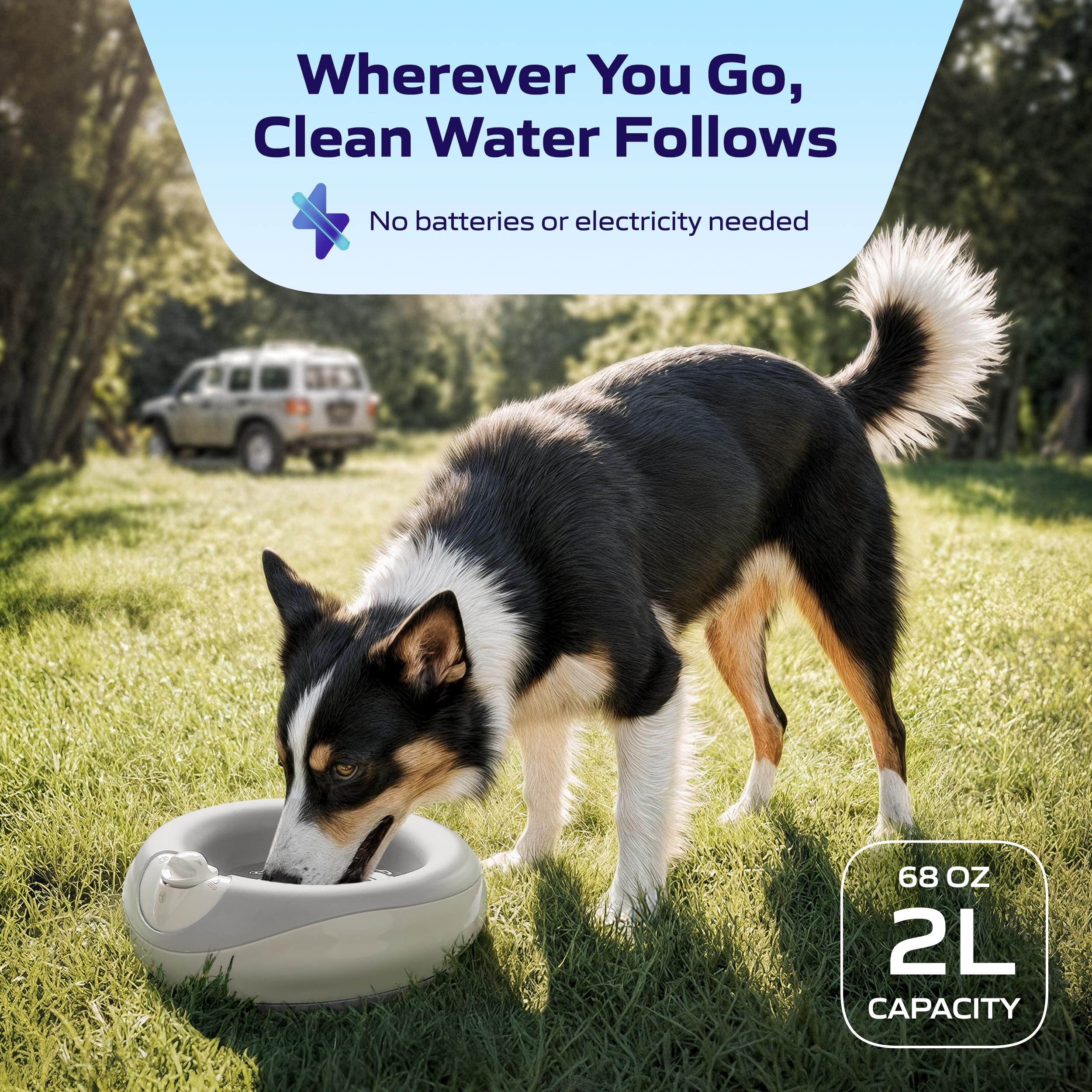 TORUS PET Maxi Filtered Dog Water Bowl, 2L/68oz — No Power or Batteries Needed, Auto-Refill, No Spill, Portable Travel Lock, Carbon Filter, BPA-Free, Dogs & Cats