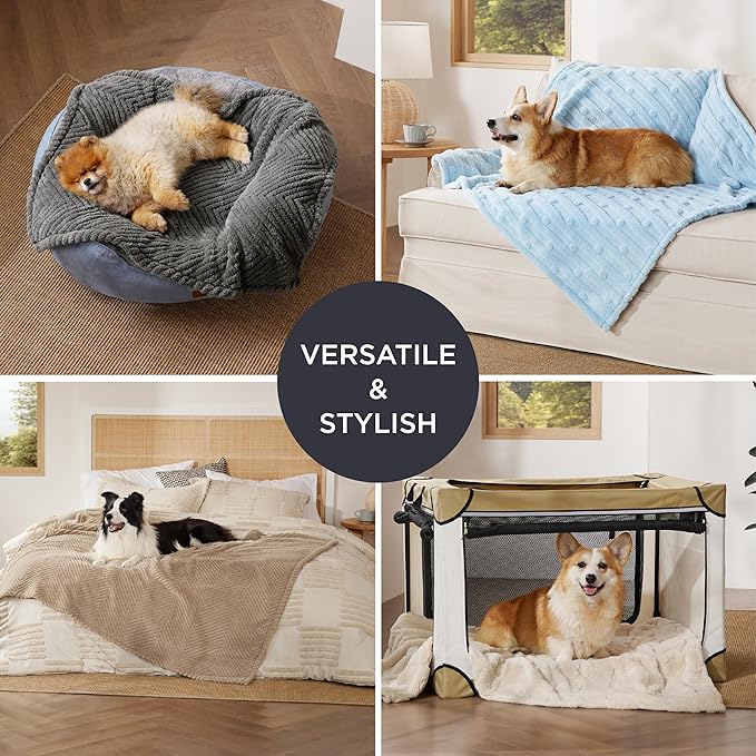Bedsure Dog Blanket for Medium Dogs Washable - Fluffy Fuzzy Puppy Cat Blanket with Premium 300GSM Coral Fleece Soft for Pet Kitten Doggy, Blue, 30x40IN