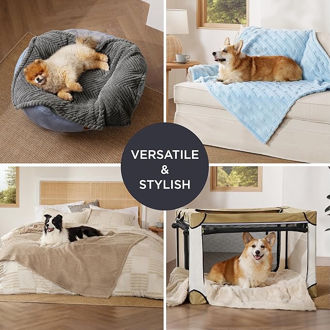 Bedsure Dog Blanket for Small Dogs Washable - Fluffy Fuzzy Puppy Cat Blanket with Premium 300GSM Coral Fleece Soft for Pet Kitten Doggy, Blue, 25x35IN