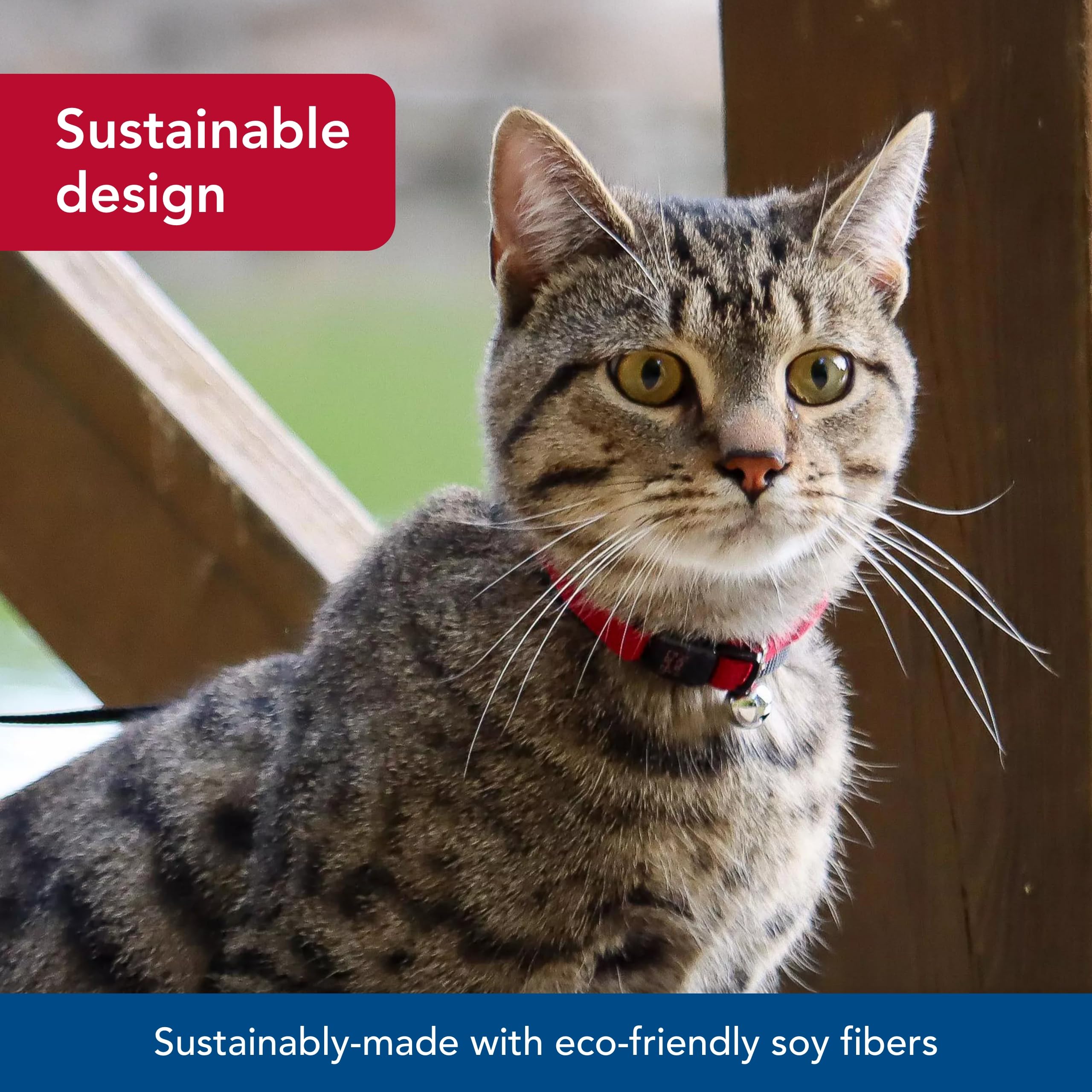 Coastal Pet New Earth Soy Adjustable Breakaway Cat Collar - Eco-Friendly, Odor-Resistant and Adjustable Cat Collar, Cranberry, 3/8" x 08"-12"