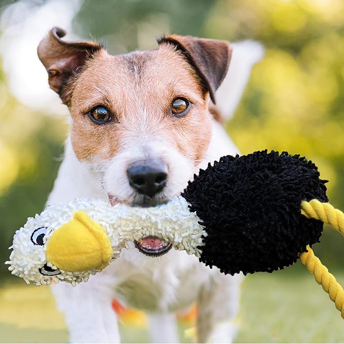 rocket & rex Dog Chew Toy Set for Small to Medium Breeds, Includes a Rope Toy, Rubber Squeaker and Plush Toys with Ball, Reduces Destructive Chewing & Anxiety (Pack of 3)