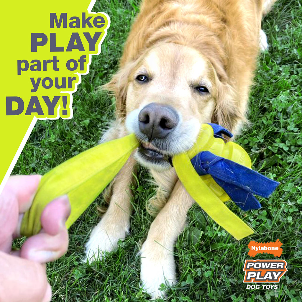 Nylabone Power Play Basketball Gripz Dog Play Toy, Medium