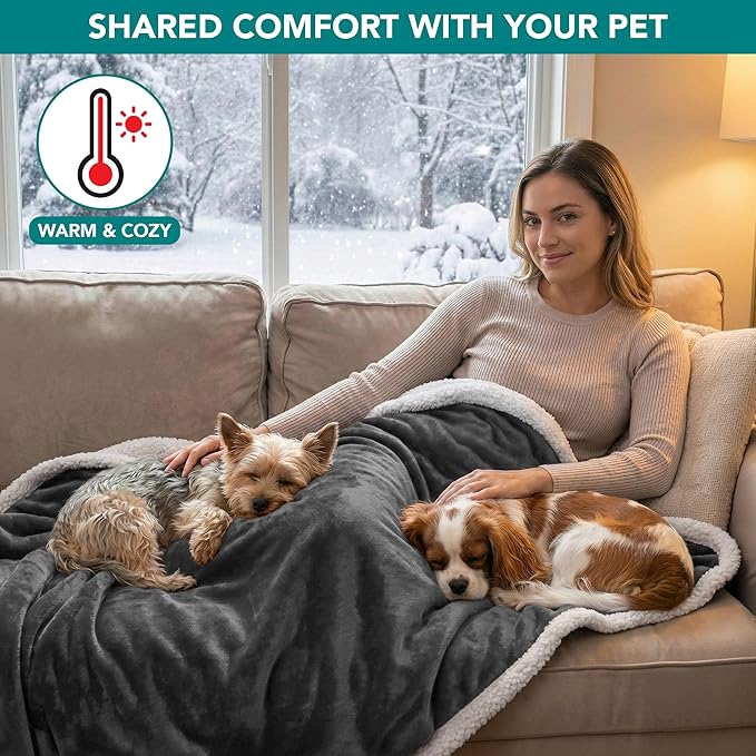PetAmi Waterproof Dog Blanket for Large Dog Cat Pet, 60x80, Charcoal