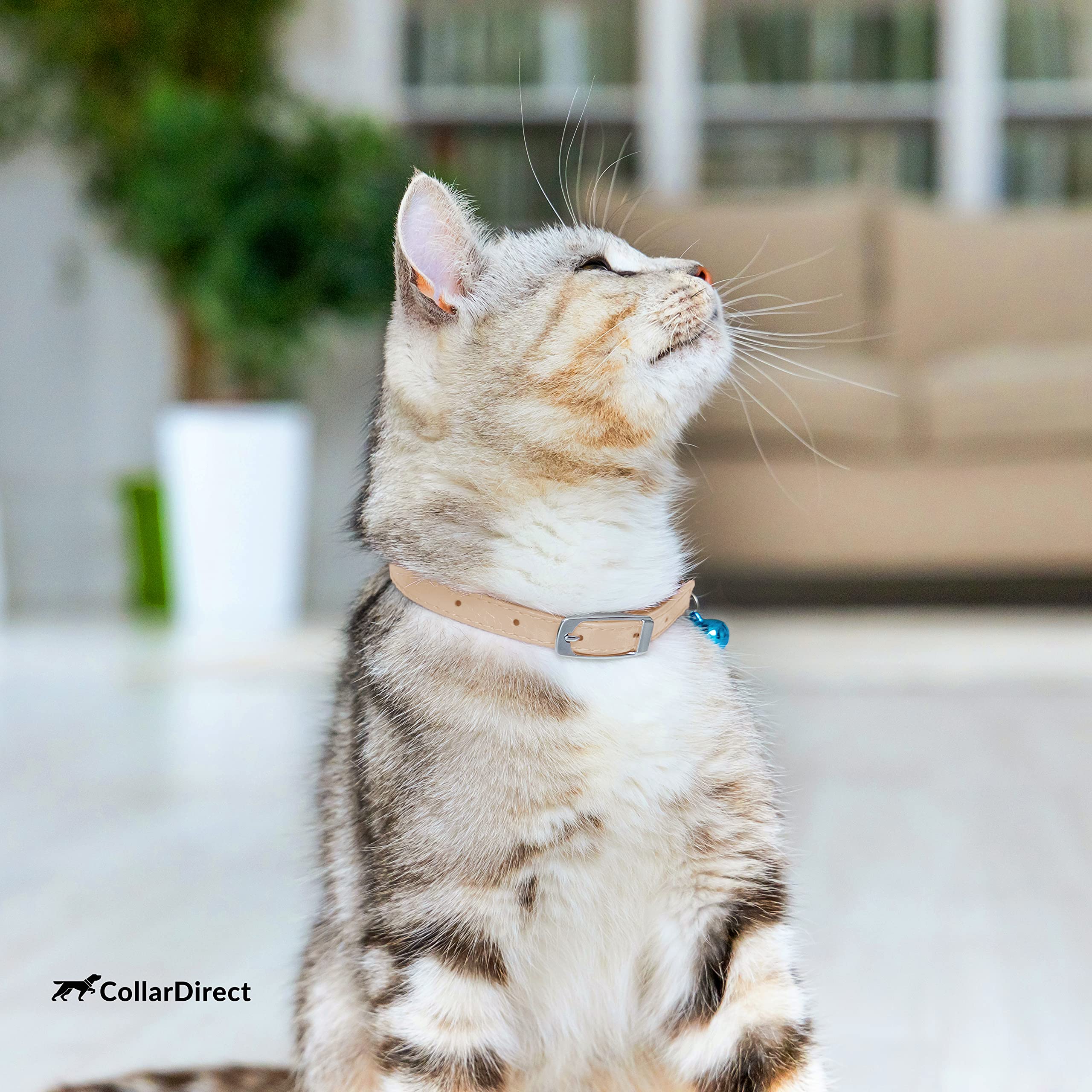 Soft Leather Cat Collar with Safety Elastic Strap