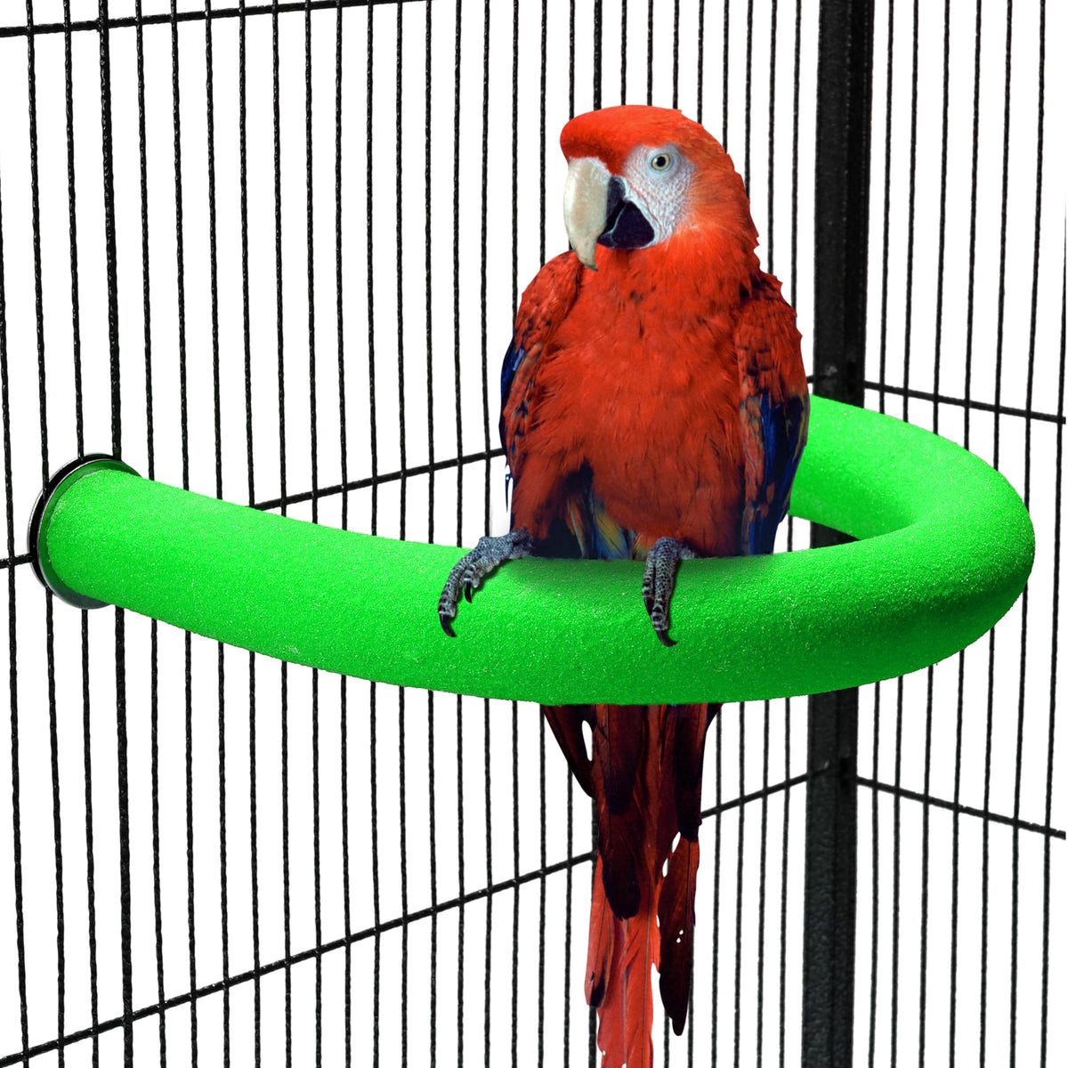 FrgKbTm U Shape Parrot Perch Stand Toy Bird Platform Sand Paw Grinding Clean Stick Exercise Conure Budgie Cockatiel Cage Accessories (Purple)