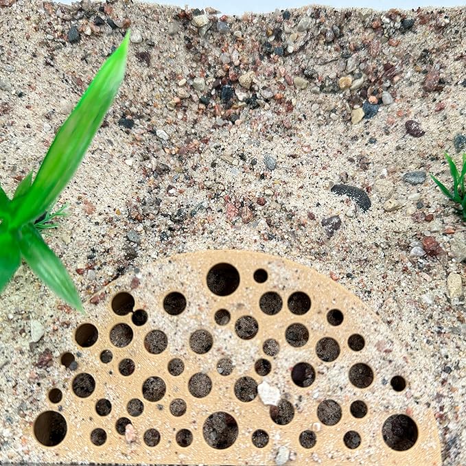 Shrimp Breeding Protector | Shrimp Breeding Cave Aquarium Tunnel | CTWPets (Forest Green)