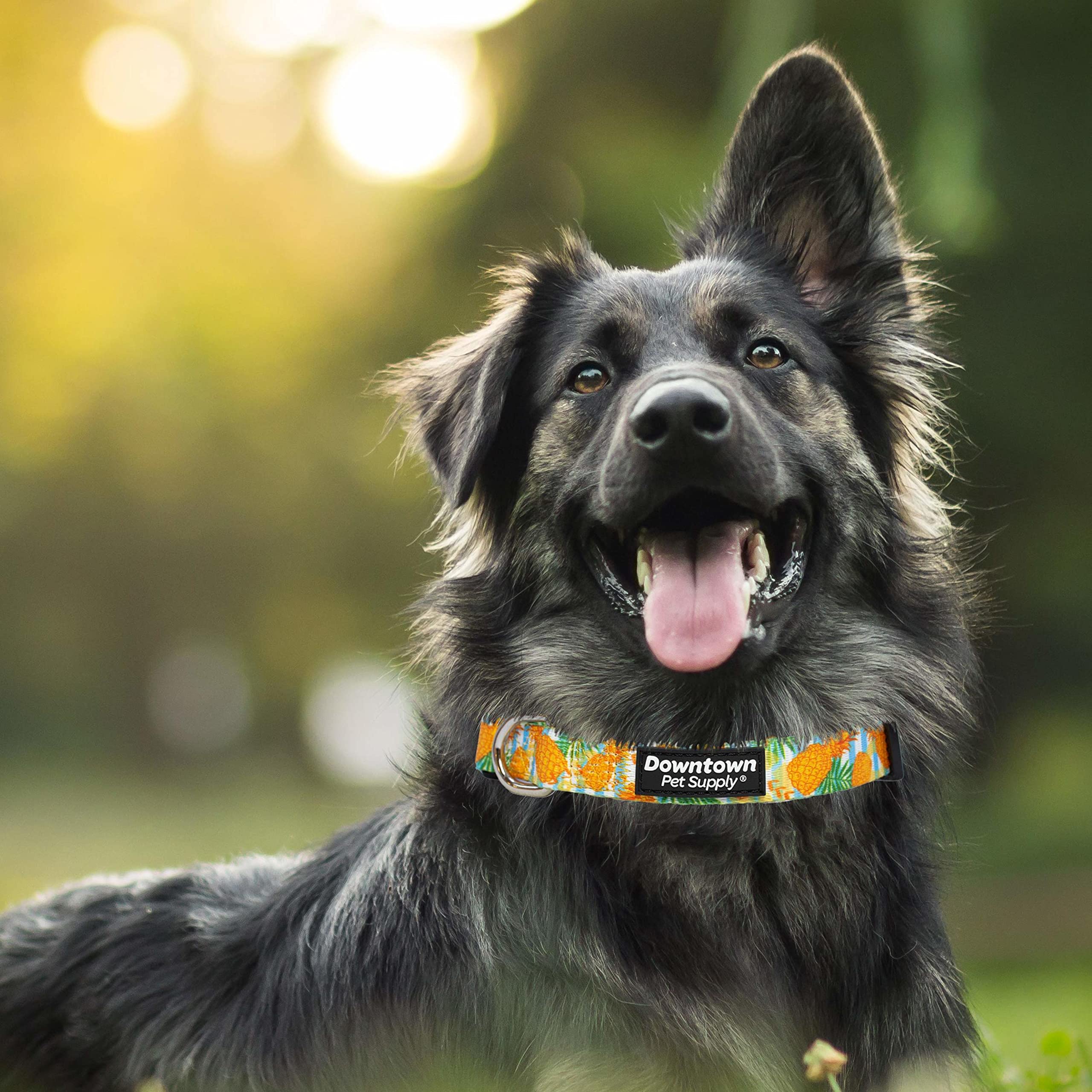 Downtown Pet Supply - Best & Fancy Dog Collar - Lightweight Adjustable with Quick Buckle & D-Ring - Hand Wash Safe - Pineapple - Large