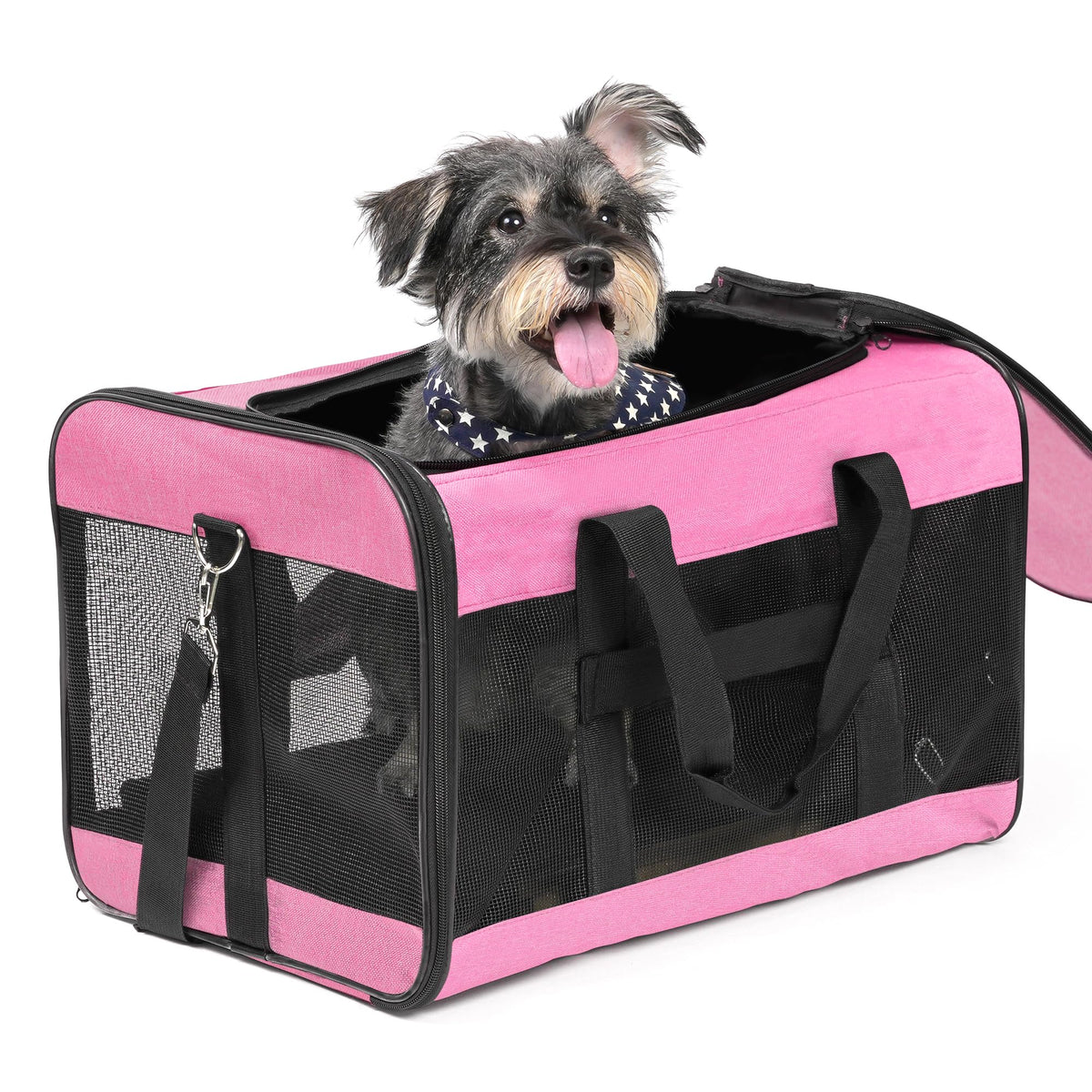 Conlun Dog Carrier Soft Sided, Large Cat Carrier,Black L