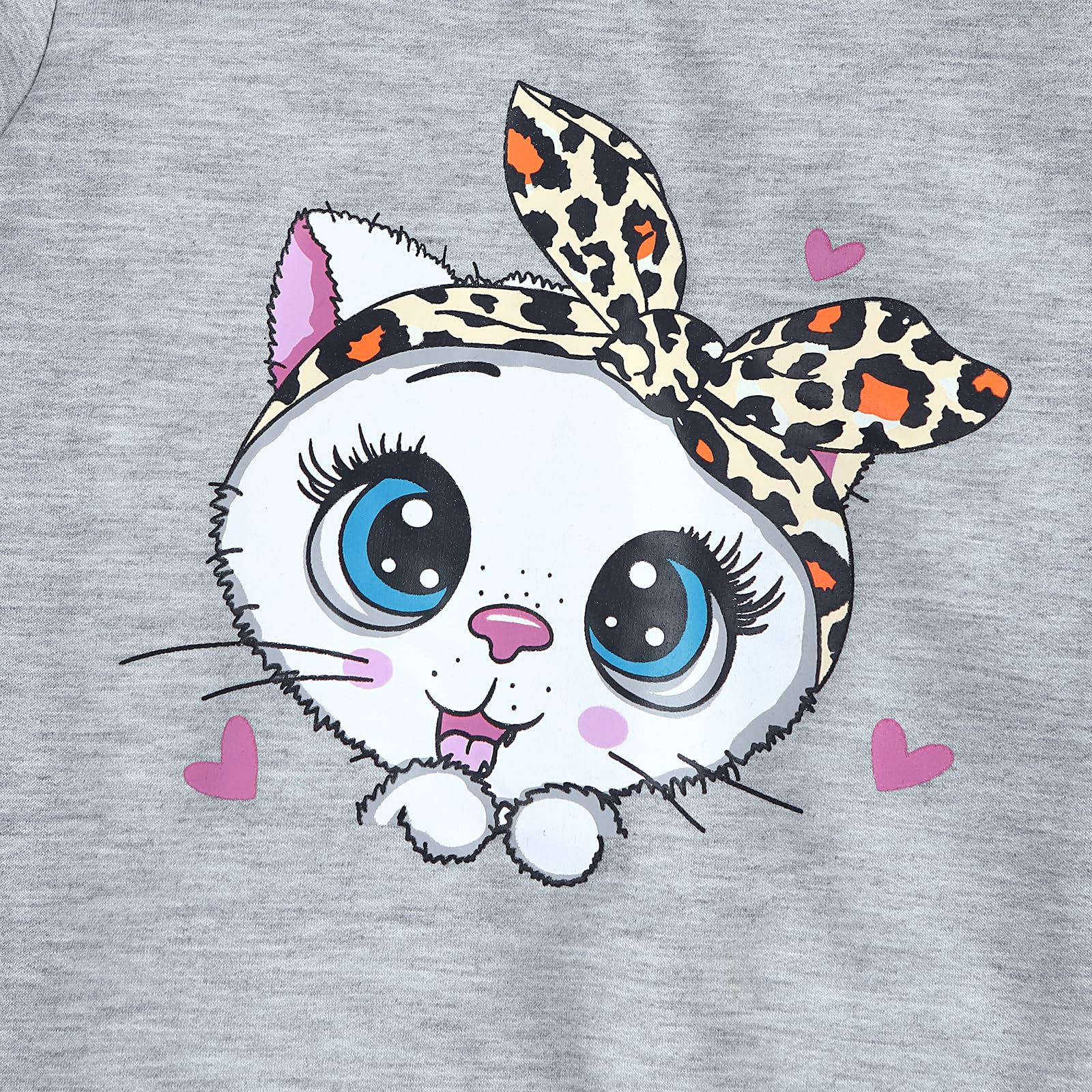 Axumity Toddler Girl Clothes Cat Print Pullover Sweatshirt + Leopard Print Pant 2-Piece Kid Girl Fall Winter Pants Set(3-4T)