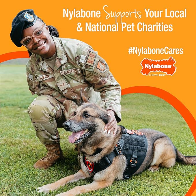 Nylabone Donut Power Chew Toy for Dogs, Dog Toys for Aggressive Chewers, Bacon Glazed Flavor, Medium Dogs - Up to 35 lbs, 1 Count