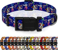 Seyezo Dog Collar, Classical Birthday Gift Boys Girls Puppy Collar for Small Medium Large Dogs, Adjustable Soft Pet Collar with Safety Buckle for Male Females(Purple Birthday, XL)