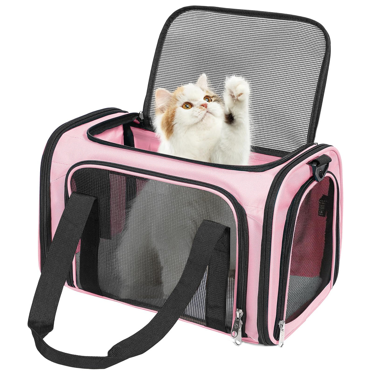 Discala Cat Dog Carrier Up to 15 Lbs TSA Airline Approved Pet Carrier for Small Medium Cats Puppies Dog Carriers for Small Dogs Collapsible Soft Sided Cat Travel Carrier - Green 15.7"x10.2"x10.2"